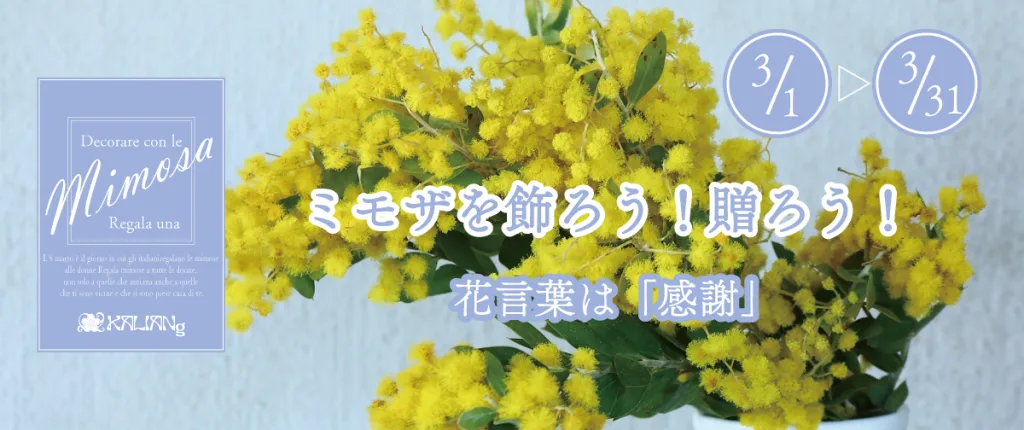 ミモザを飾ろう！贈ろう！ - FLOWER SHOP KALIANg 六本木 ミッドタウン